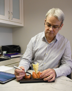 O que é Tireoidite de Hashimoto e por que ela é tão comum hoje?